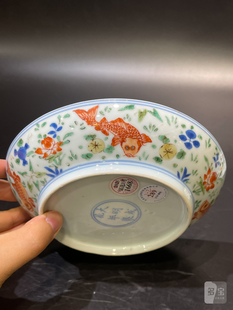 清康熙 青花五彩鱼藻纹盘一对 - 图13